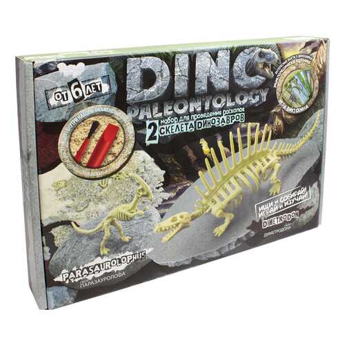 DANKO TOYS Набор для проведения раскопок Dino Paleontology, набор 4 DP-01-04 в Дети